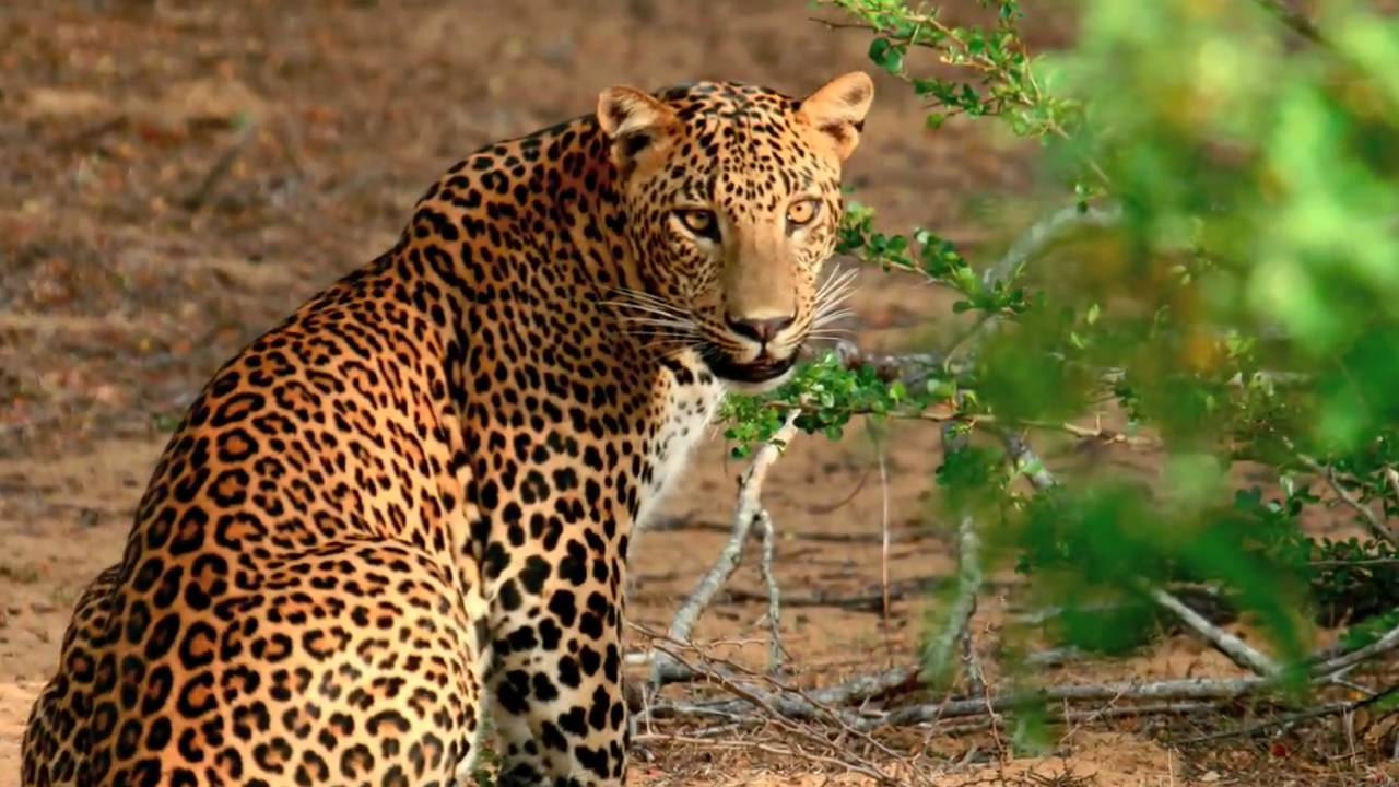 7-Day Sri Lanka Family Tour